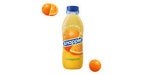 SNAPPLE ORANGEADE 16 OZ SNAPPLE